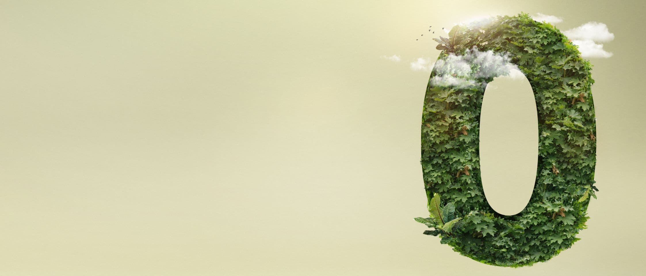 Sustainability Journey background