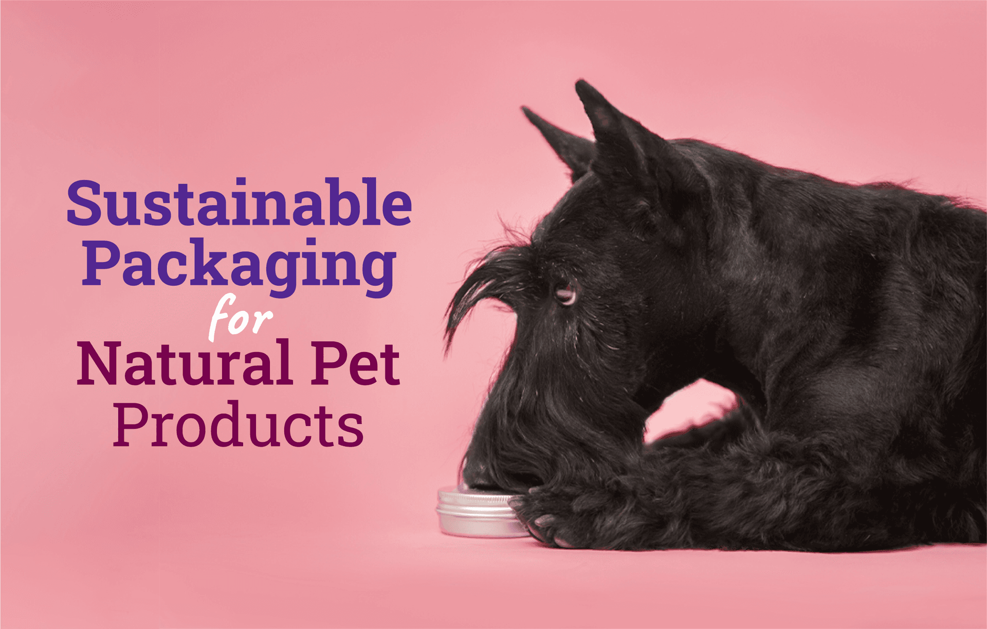 Sustainable Packaging for Natural Pet Products How & Why